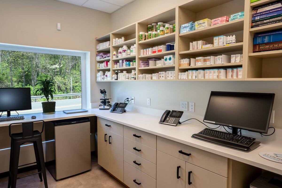 f64960e7-10f4-42a9-a3de-c7f296eb9b70